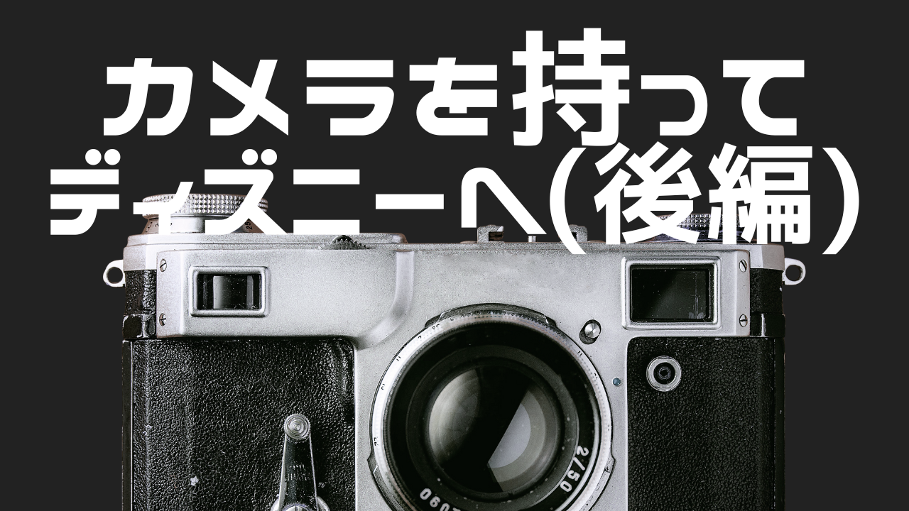 【後編】SEL15F14Gでディズニーを撮る：光と空気を切り取るレンズ
