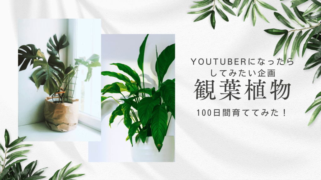 「色々な観葉植物、100日間育ててみた！」(「YouTuberになったらしたい企画」)