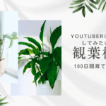「色々な観葉植物、100日間育ててみた！」(「YouTuberになったらしたい企画」)